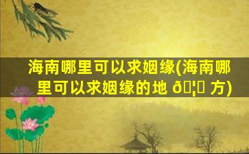 海南哪里可以求姻缘(海南哪里可以求姻缘的地 🦈 方)